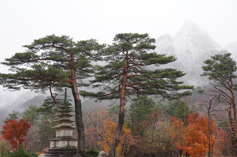 [최진숙의 문화모퉁이(10)]어때요, 참 쉽죠