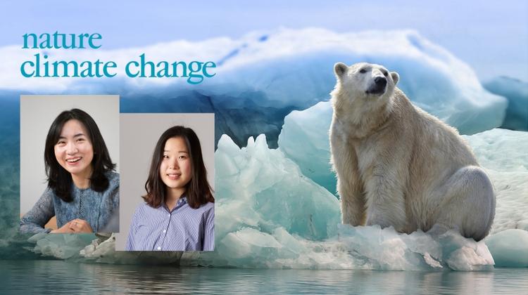 New Study Reveals Local Drivers of Amplified Arctic Warming