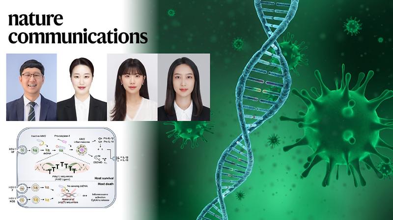 몸 안의 면역 센서 깨우는 헤르페스 바이러스 DNA의 바코드 발견!